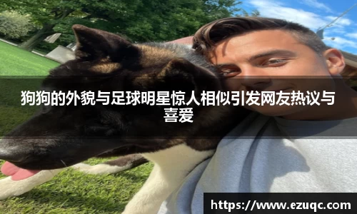 狗狗的外貌与足球明星惊人相似引发网友热议与喜爱
